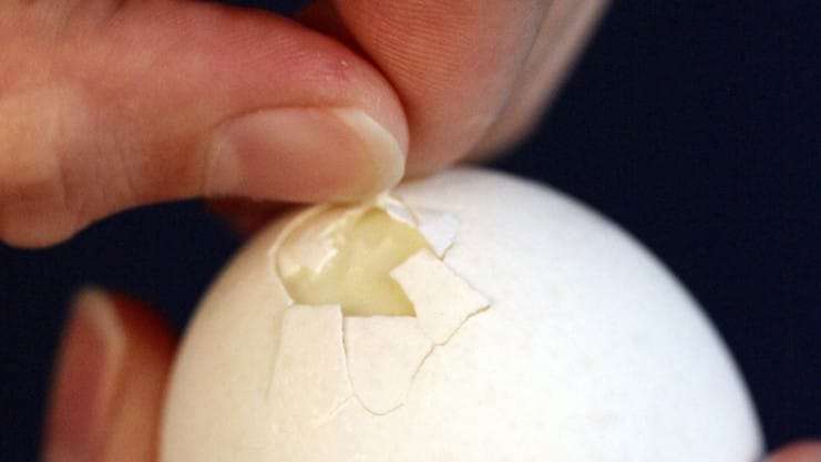 Taboola Ad Example 45494 - Как быстро почистить яйца от скорлупы | Очистка за 5 секунд